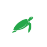 Travel Turtle